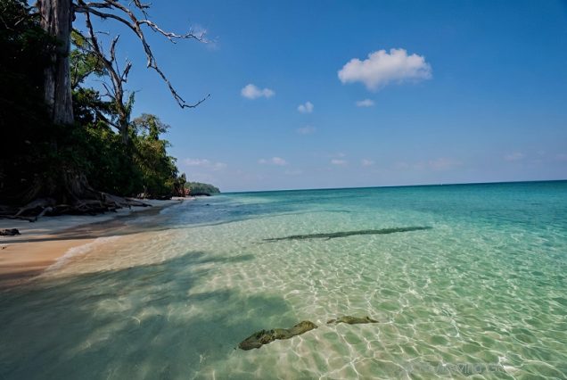 Peaceful view of Govind Nagar Beach with clear blue water, soft sand, and leaning coconut trees