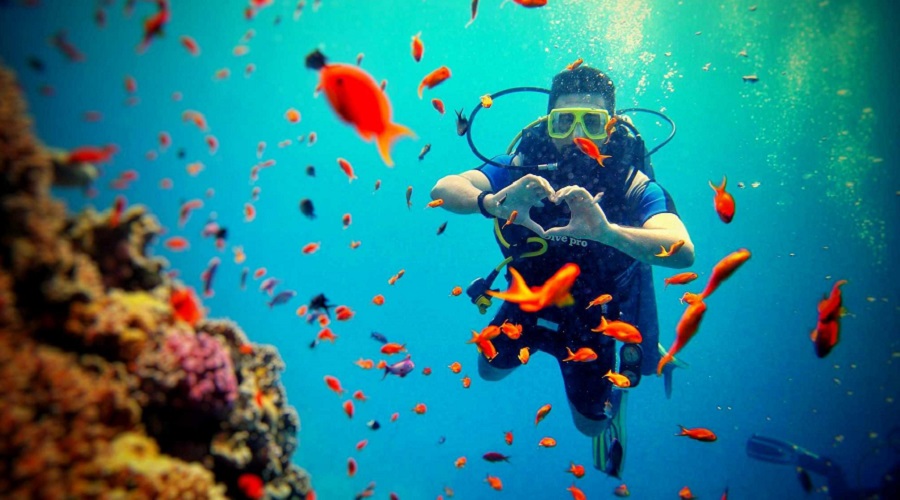Scuba Diving