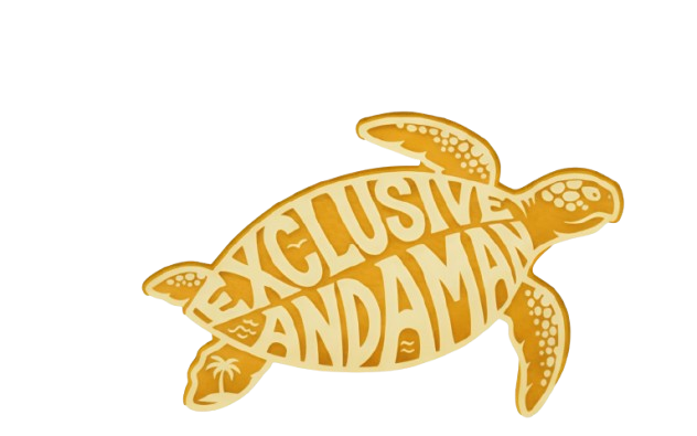 Andaman Tour & Travel