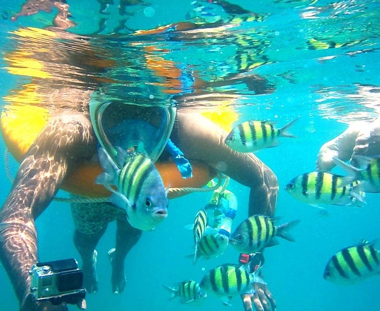 Snorkeling at Elephanta Beach