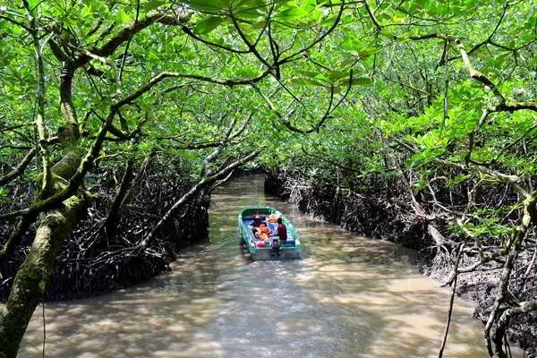 Baratang Island